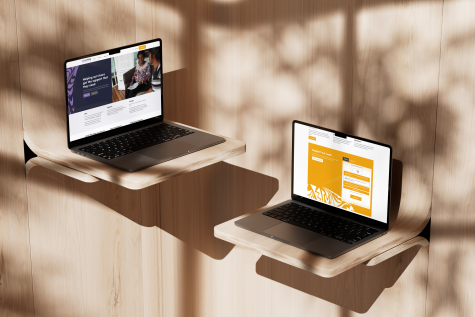 Two laptops with mockups of the FemiliPNG website.